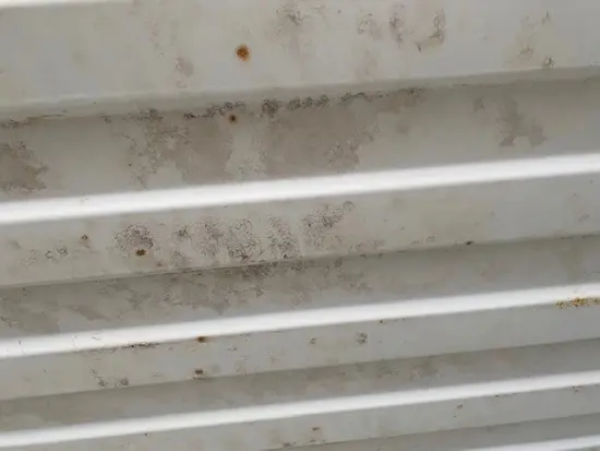 roof 2