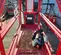 2017 MEC 1930SE Scissor Lift
