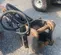 2020 Tamco Tools TOKU TNB-6M Attachment