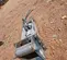 2021 FURUKAWA K-K9FSP Attachment