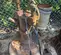 2016 Hydra-Tech SP08DT/S8T Pump