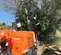 2023 Generac MLT6SMDS Portable Light Tower
