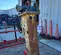 2017 SOOSAN SB 40 TSP Attachment