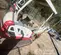 2021 Takeuchi TB216 Mini Excavator