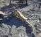 2021 Epiroc SB 452 Attachment