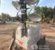 2023 Wacker Neuson LTV6L Portable Light Tower