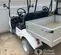 2023 Evolution TURFMAN 200 PRO Utility Vehicle