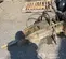 2020 Tamco Tools TOKU TNB-6M Attachment
