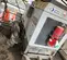 2021 Wacker Neuson G50 T4F Diesel Generator