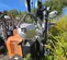 2020 Wanco WLTT-4MK106K Portable Light Tower