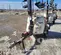 2022 Generac MLTS-4 Portable Light Tower