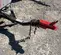 2018 Wacker Neuson LTV6K Portable Light Tower